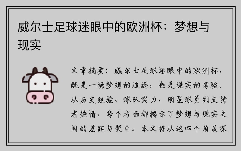 威尔士足球迷眼中的欧洲杯：梦想与现实